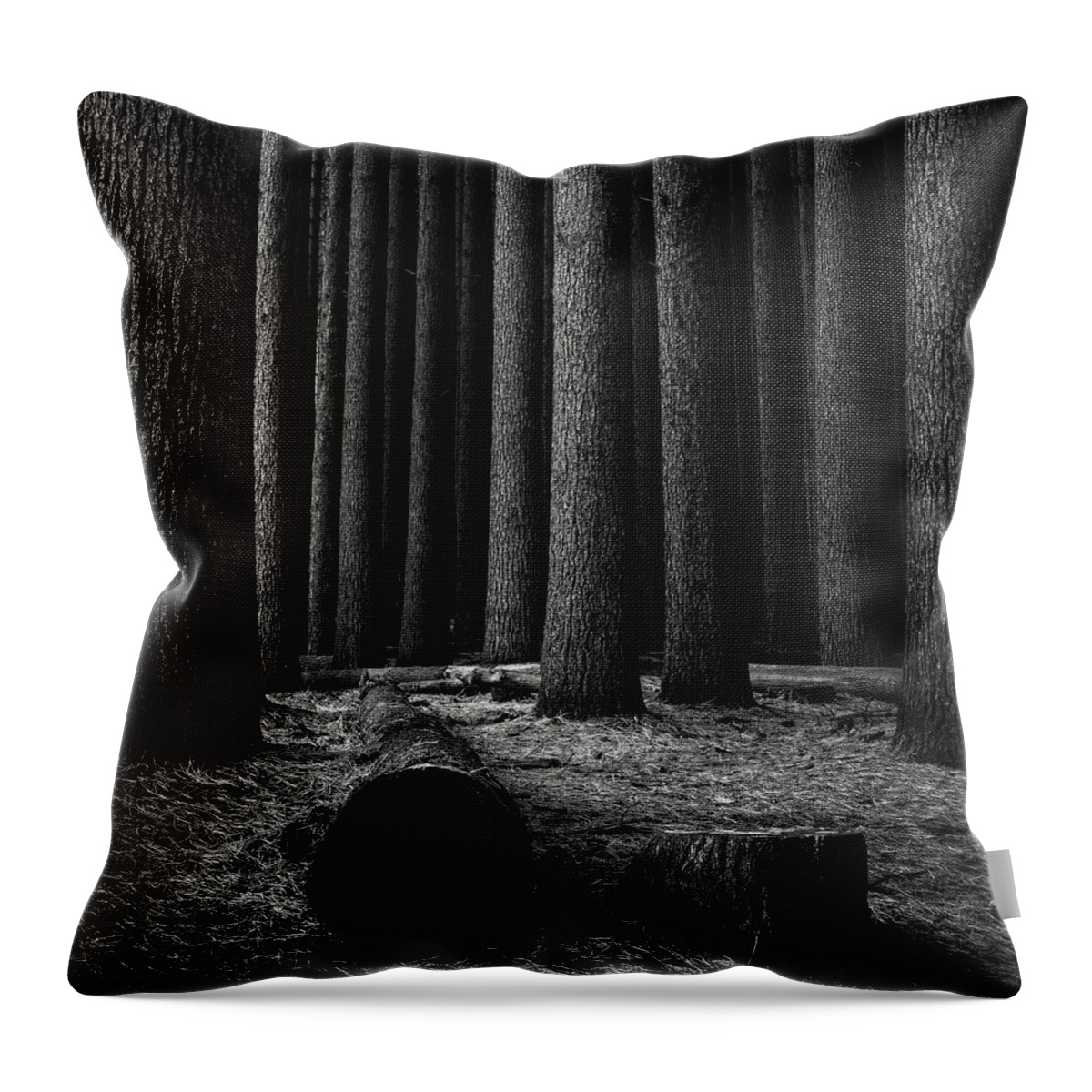 Landscape Throw Pillow featuring the photograph Sugar Pines by Grant Galbraith