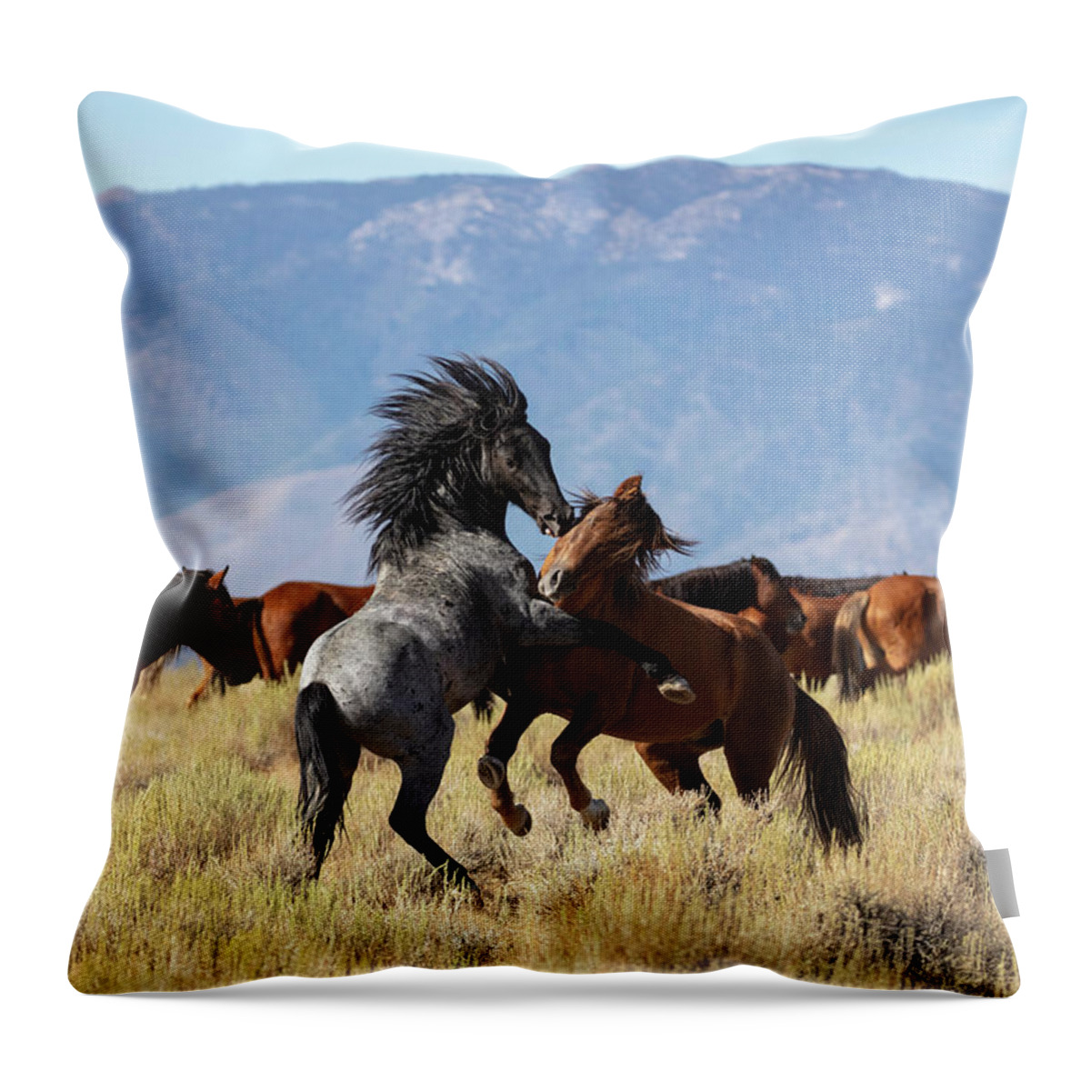  Throw Pillow featuring the photograph _t__7224 by John T Humphrey