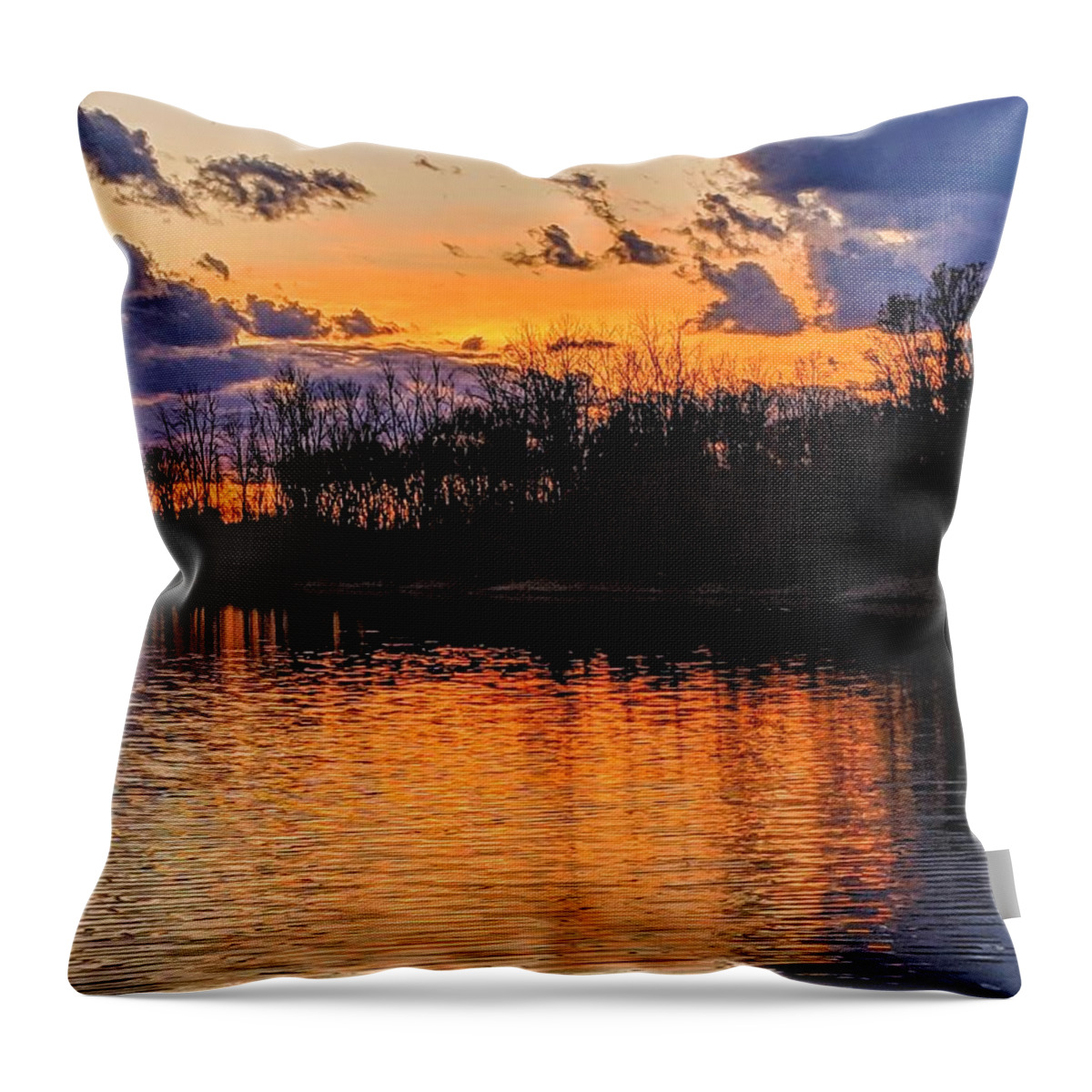  Throw Pillow featuring the photograph Tinkers Creek Park Sunset by Brad Nellis
