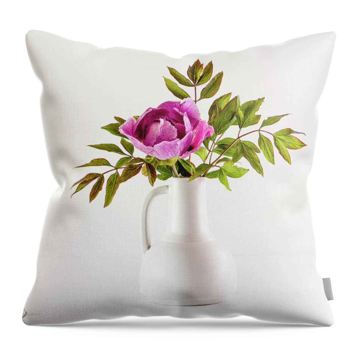 Tree Peony Throw Pillow featuring the photograph Tree peony Lan He Paeonia suffruticosa rockii in a white vase by Torbjorn Swenelius