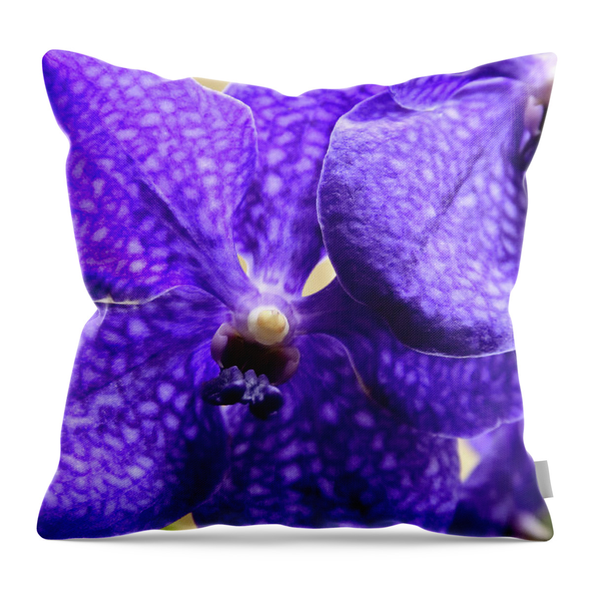 China Throw Pillow featuring the photograph Vanda Orchid Portrait II by Tanya Owens