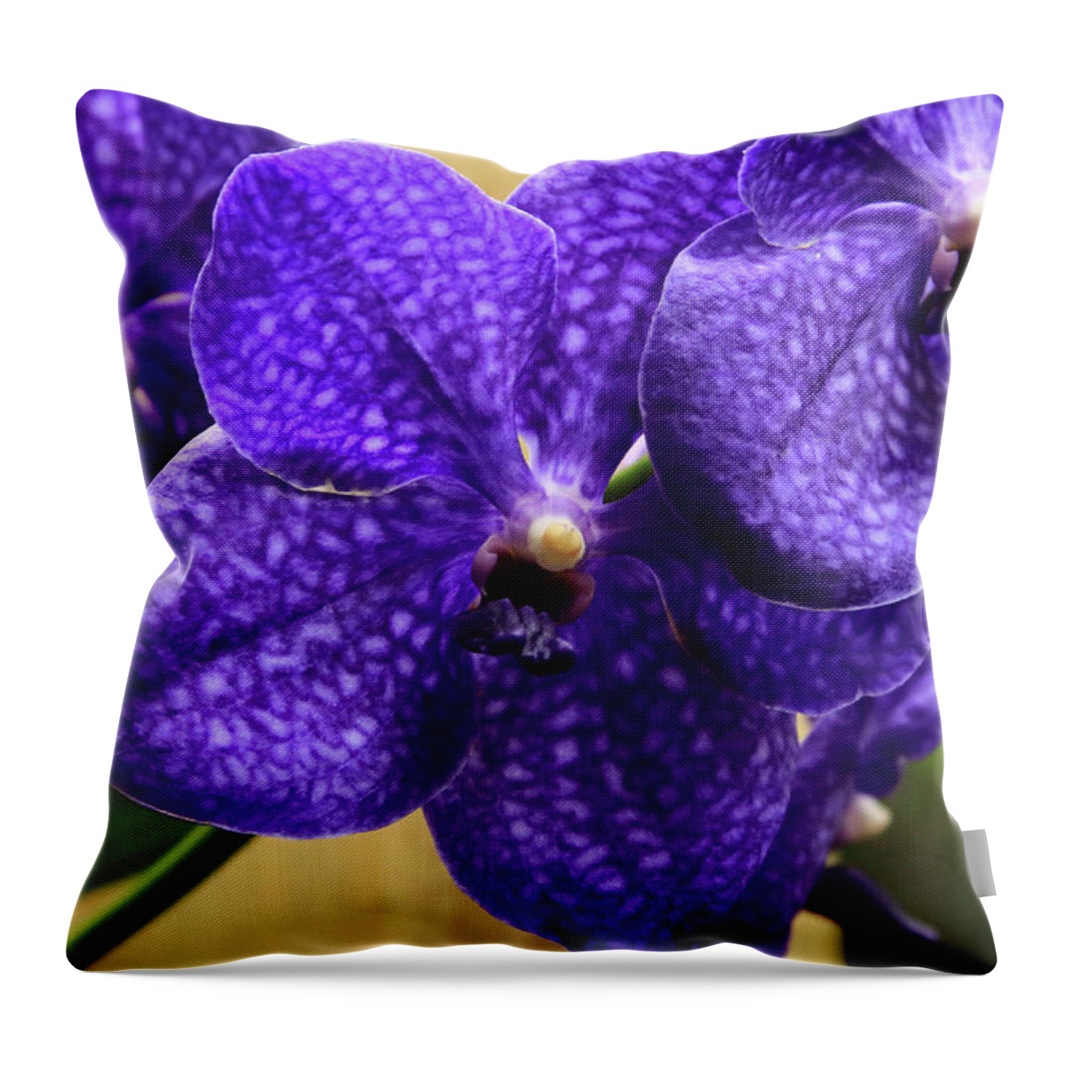 China Throw Pillow featuring the photograph Vanda Orchid by Tanya Owens
