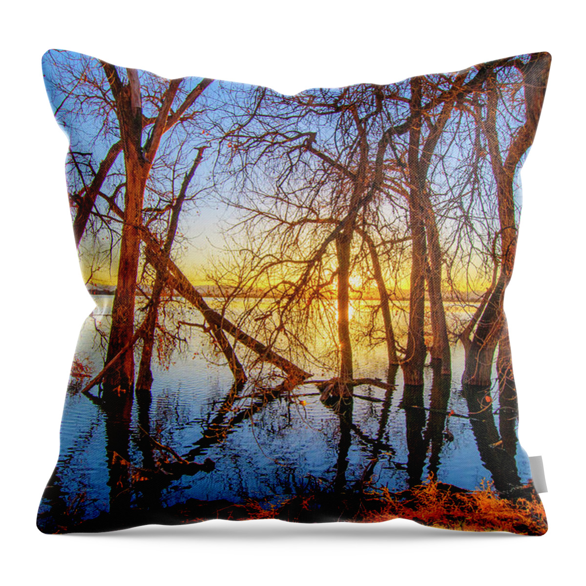 Autumn Throw Pillow featuring the photograph Twisted Trees, bare trees on Barr Lake, during sunset, in Barr Lake State Park, Brighton, CO Spring by Tom Potter