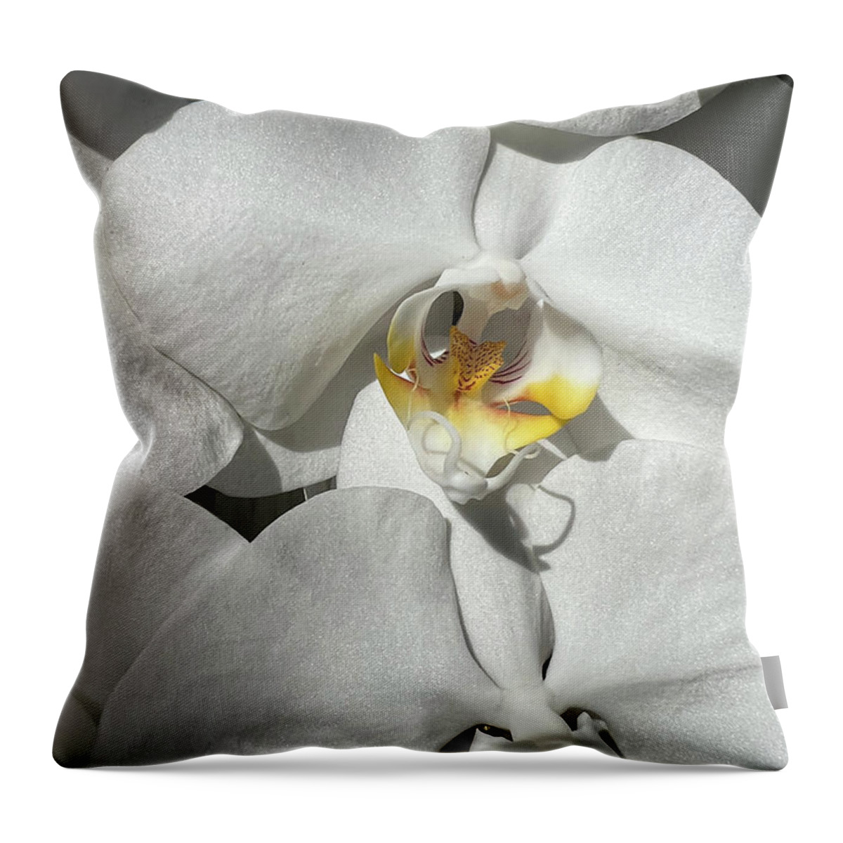 Orchid Throw Pillow featuring the photograph White Orchid With Yellow by Karen Zuk Rosenblatt