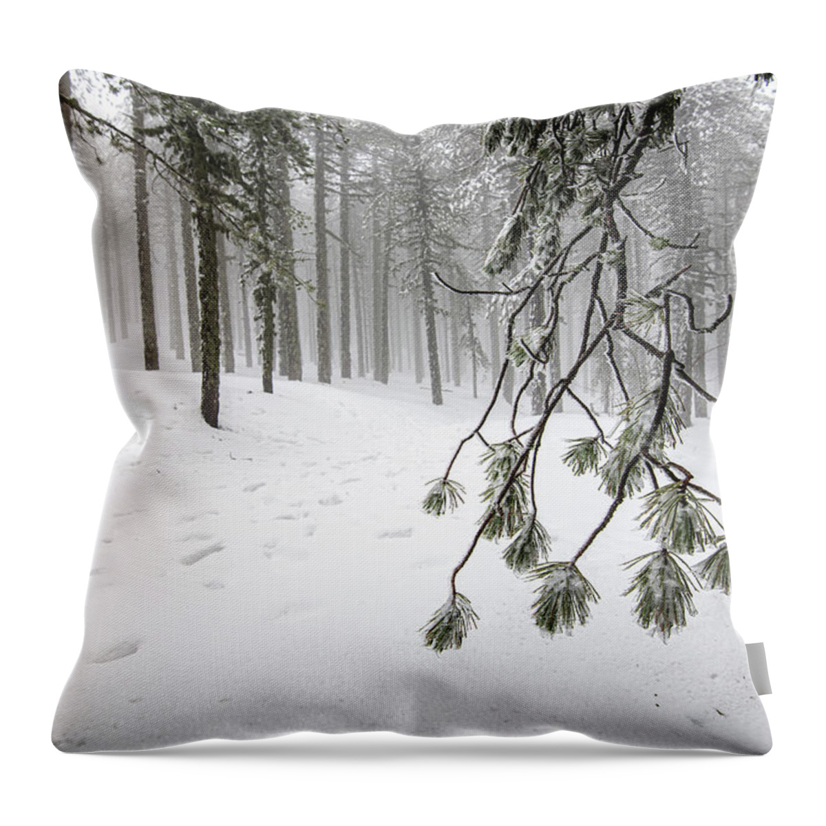 Winter Landscape Throw Pillow featuring the photograph Winter forest landscape with mountain covered in snow by Michalakis Ppalis