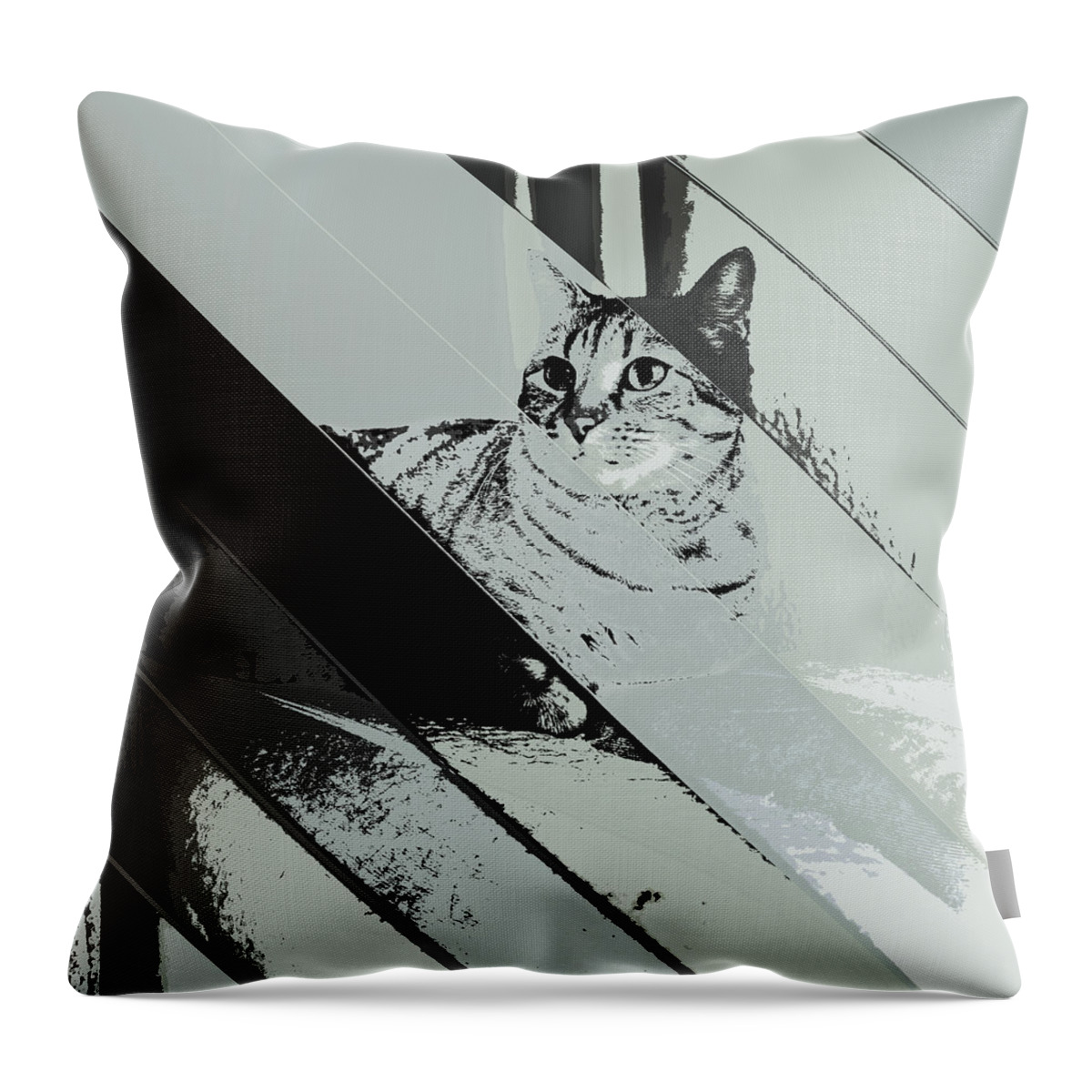 Artistic Throw Pillow featuring the digital art Yuli 1 by Marko Sabotin
