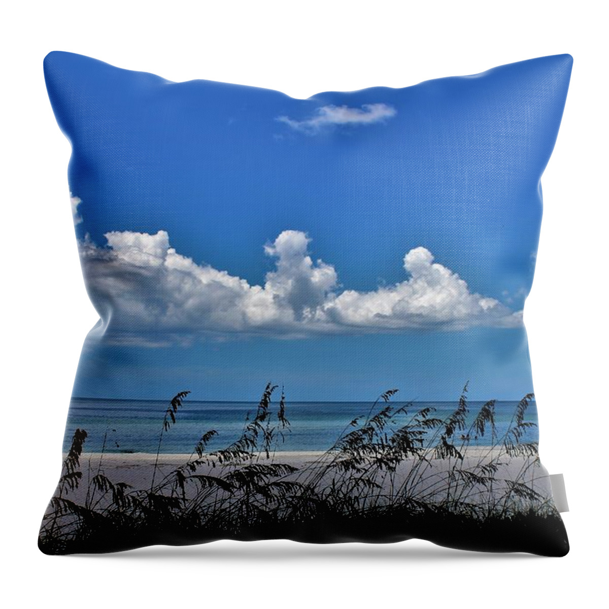  Throw Pillow featuring the photograph Naples Beach by Donn Ingemie