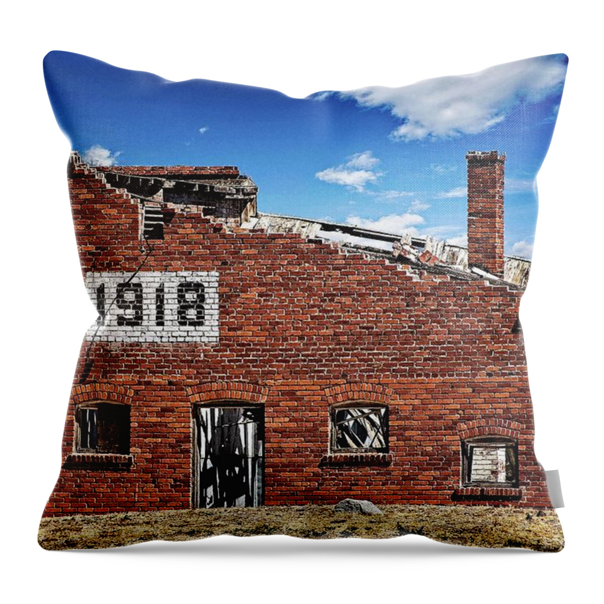 Attraction Throw Pillow featuring the photograph 1918 Dilapidated Building by David Desautel