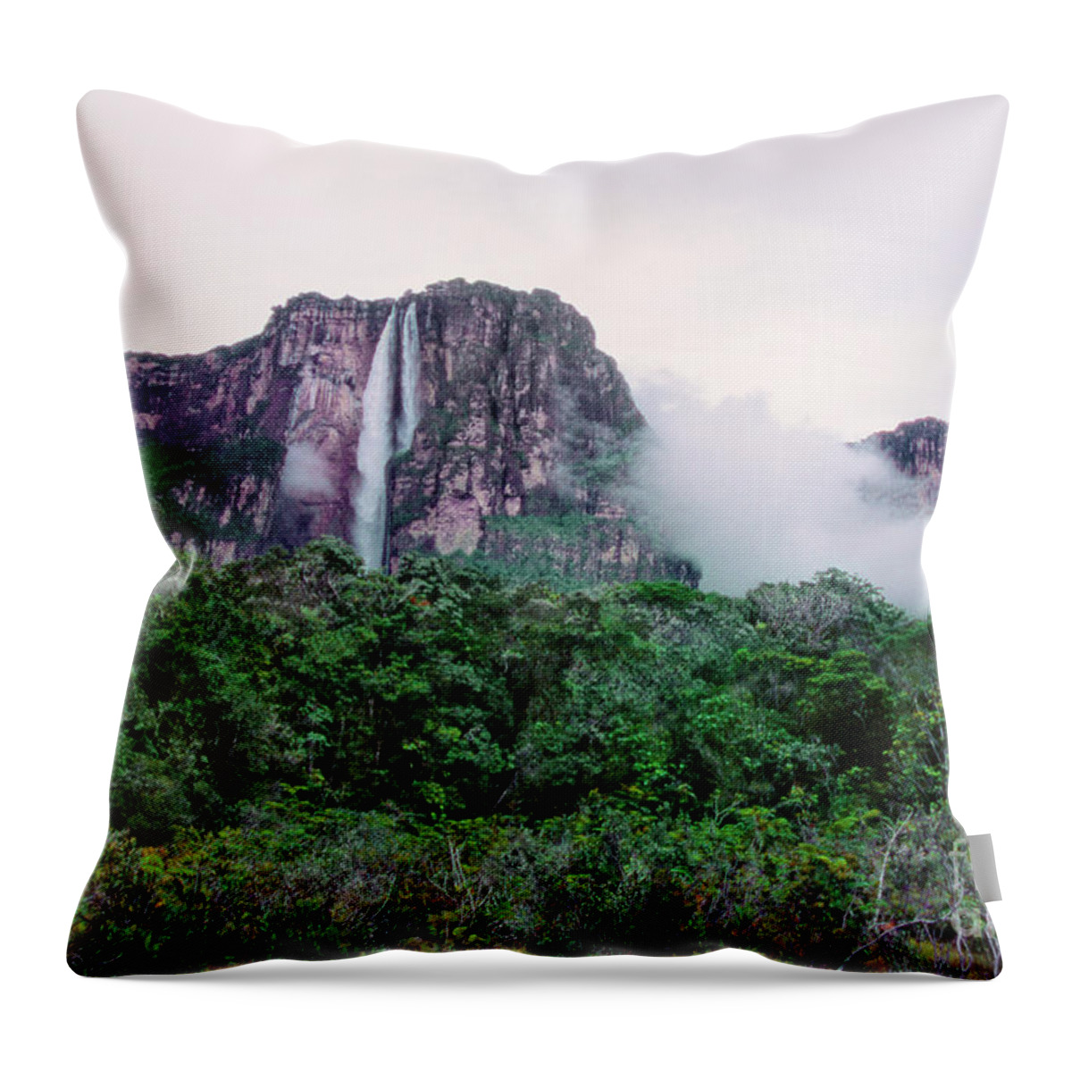 Dave Welling Throw Pillow featuring the photograph Angel Falls Canaima National Park Venezuela by Dave Welling