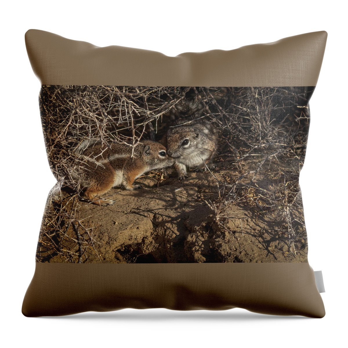 Lahontan Throw Pillow featuring the photograph California Ground Squirrel by Rick Mosher