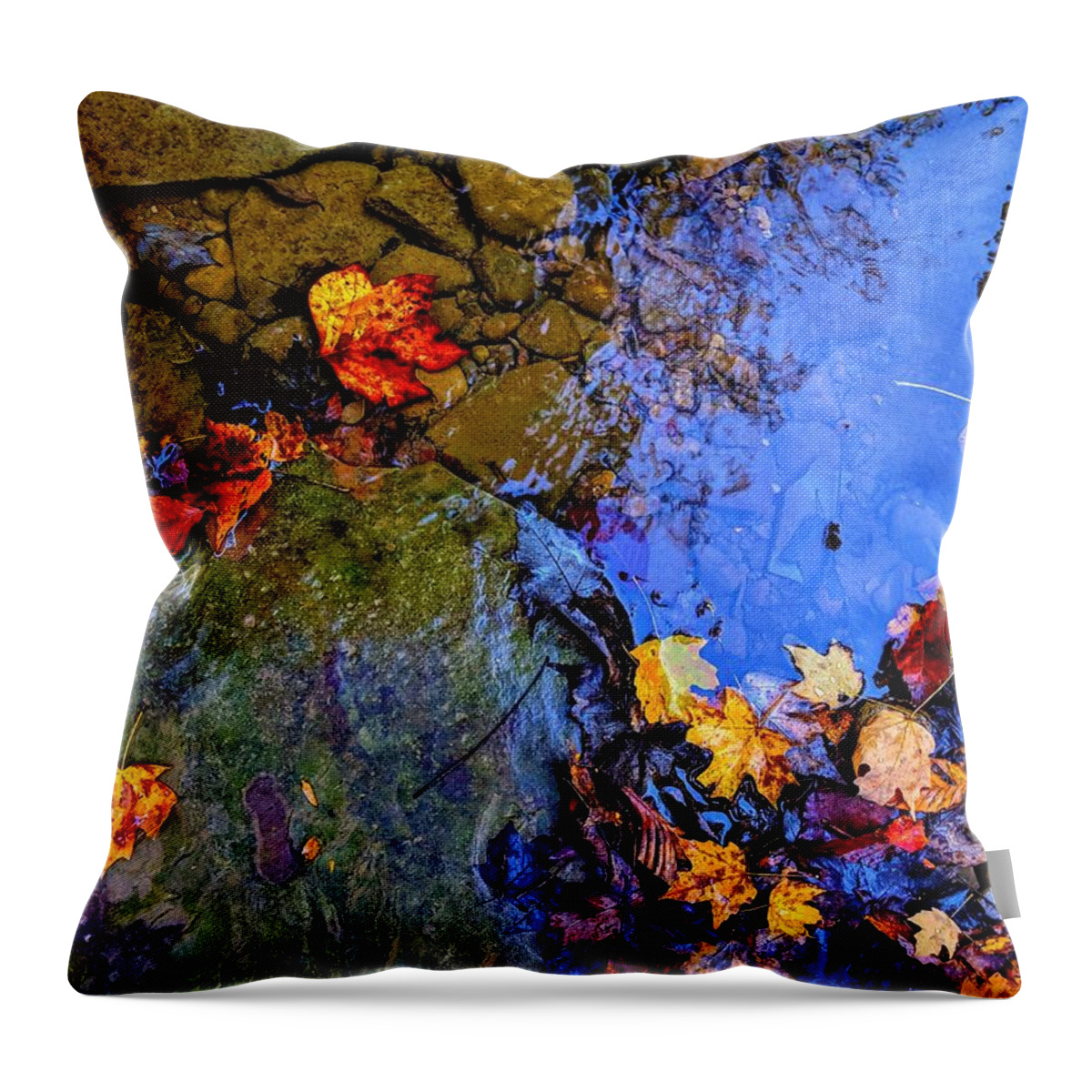  Throw Pillow featuring the photograph Fall Leaves by Brad Nellis