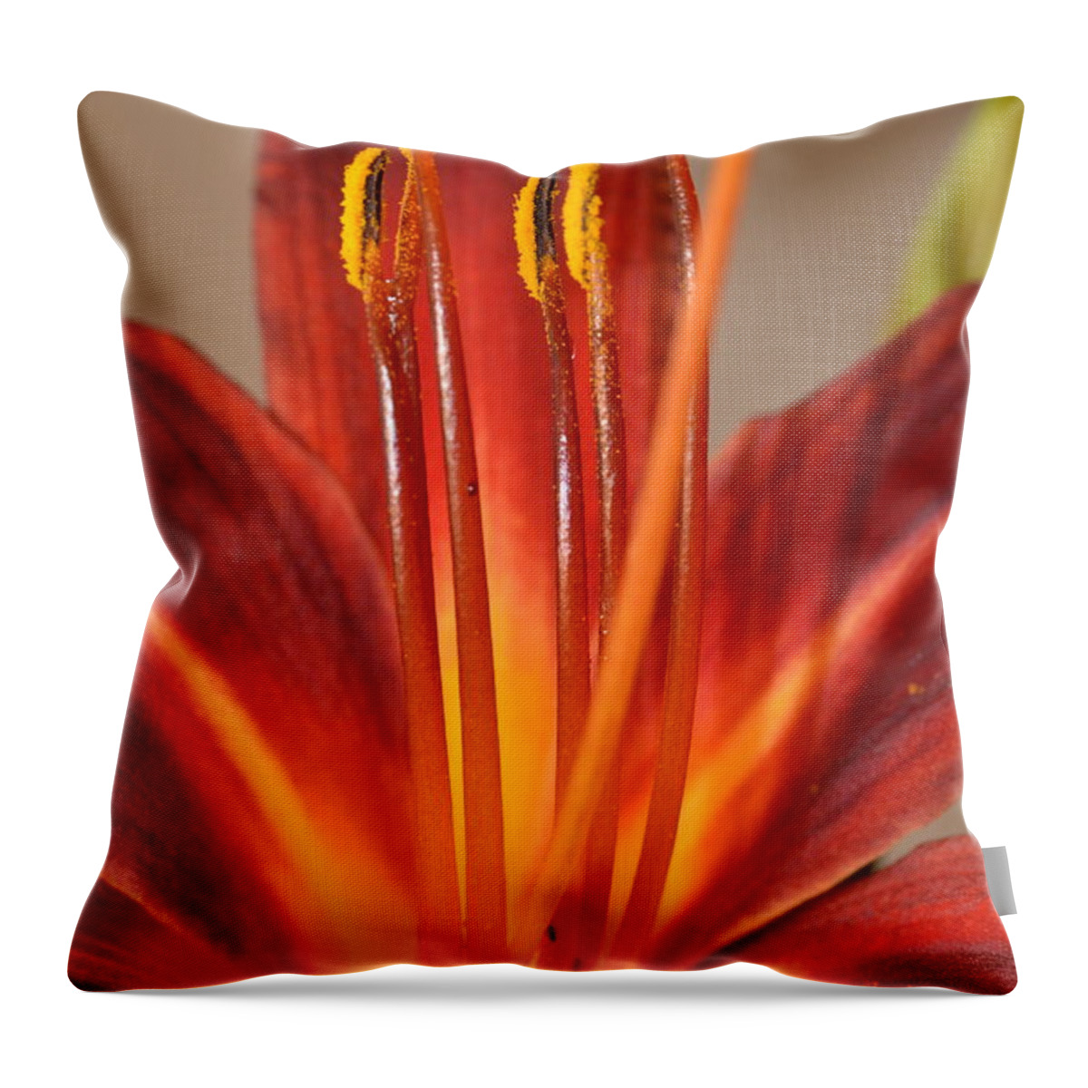 Lily Throw Pillow featuring the photograph Fire Lily 2 by Amy Fose
