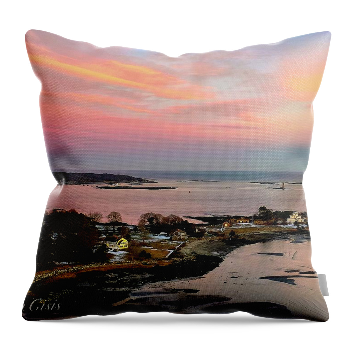  Throw Pillow featuring the photograph New Castle by John Gisis