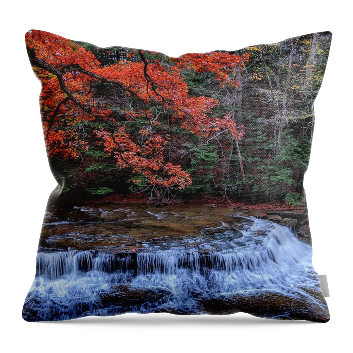 South Chagrin Reservation Throw Pillow featuring the photograph Quarry Rock Falls in the Fall by Brad Nellis