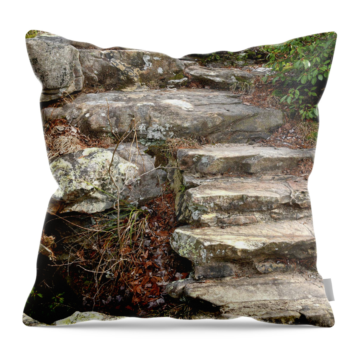 Hike Throw Pillow featuring the photograph Steps Into The Forest by Phil Perkins