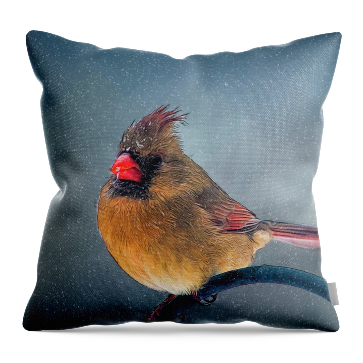 Bird Throw Pillow featuring the photograph Winter Cardinal by Cathy Kovarik