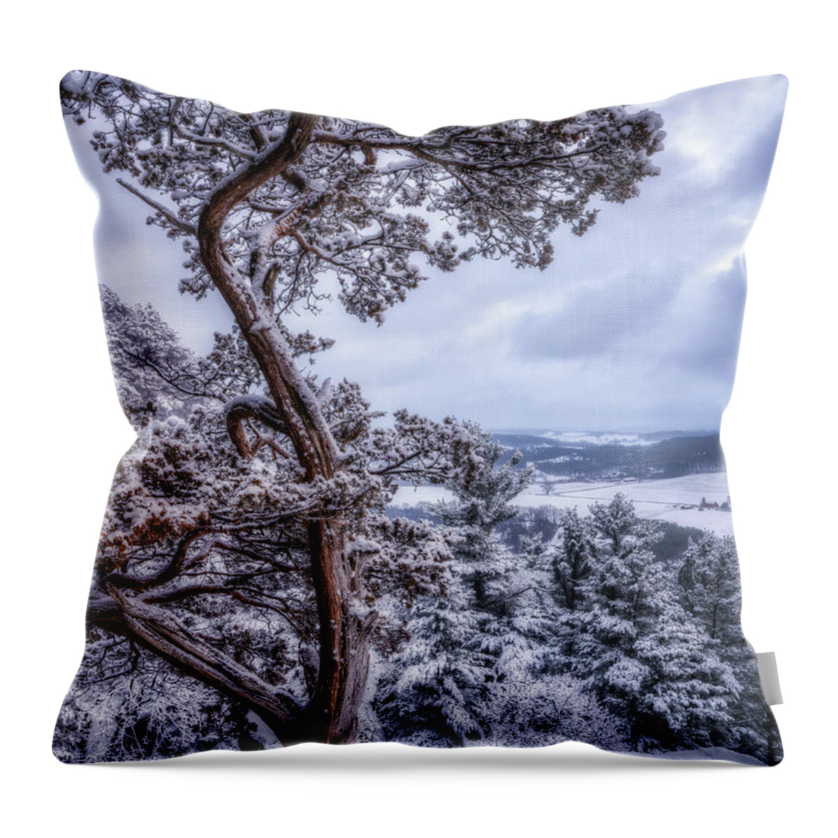 Snow Throw Pillow featuring the photograph Winter Wonderland #2 by Brad Bellisle