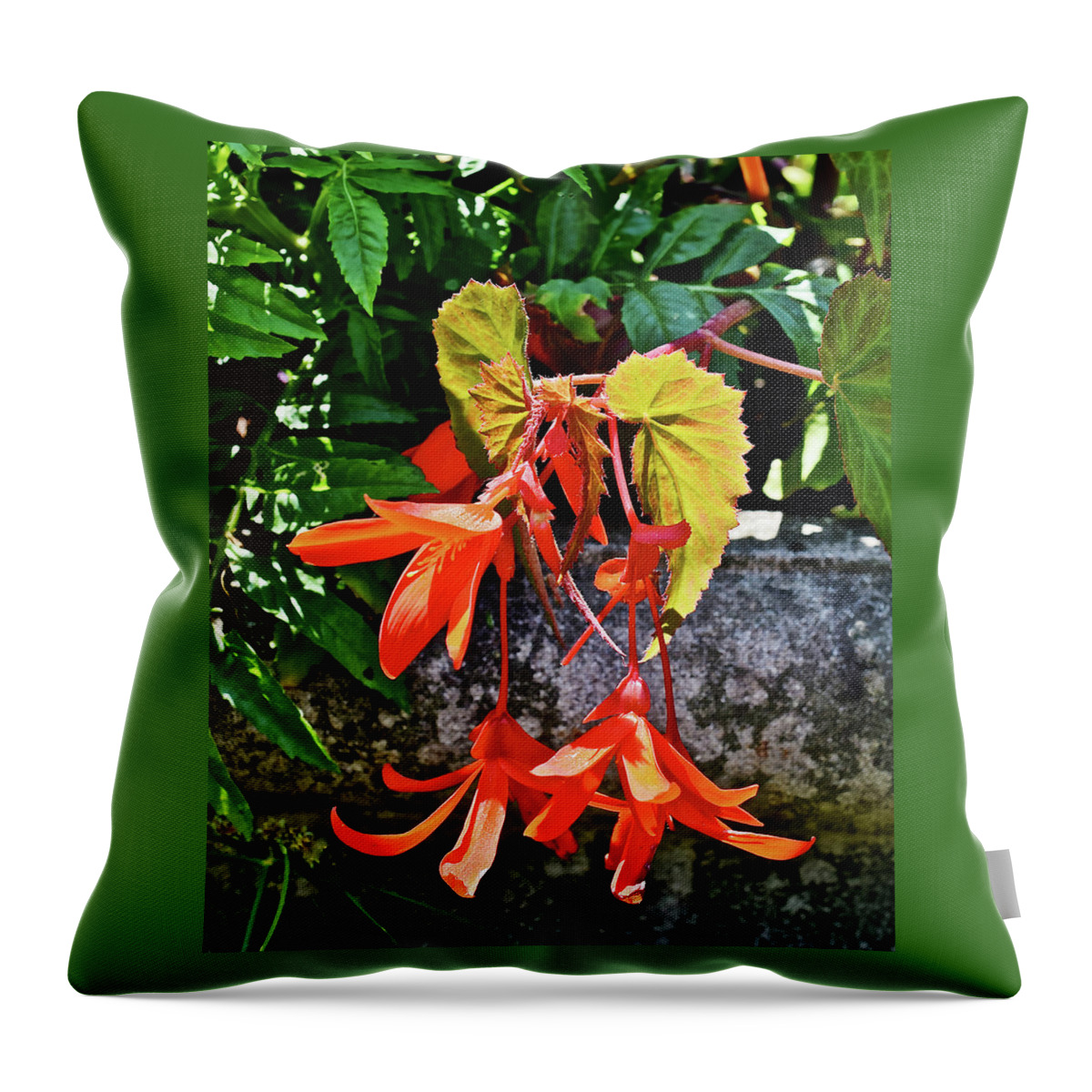 Begonia Throw Pillow featuring the photograph 2020 Mid June Garden Welcome by Janis Senungetuk