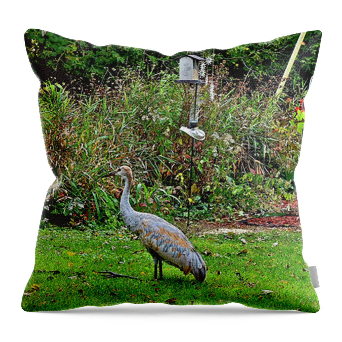 Sandhill Cranes; Birds; Backyard; Throw Pillow featuring the photograph 2021 Fall Sandhill Cranes 5 by Janis Senungetuk