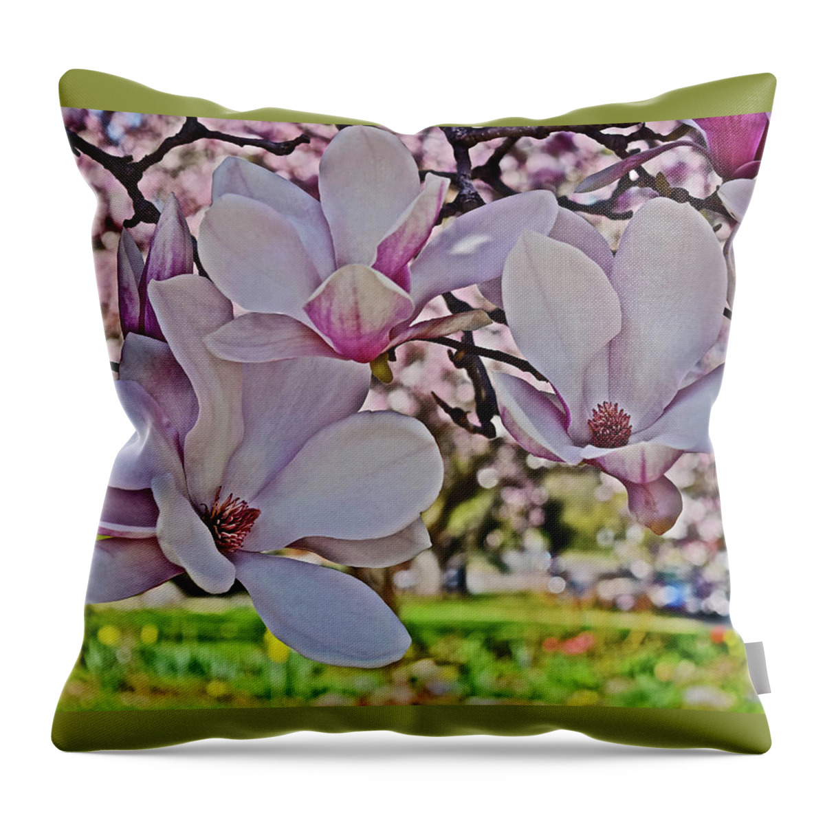 Magnolia Throw Pillow featuring the photograph 2022 Vernon Magnolia 1 by Janis Senungetuk