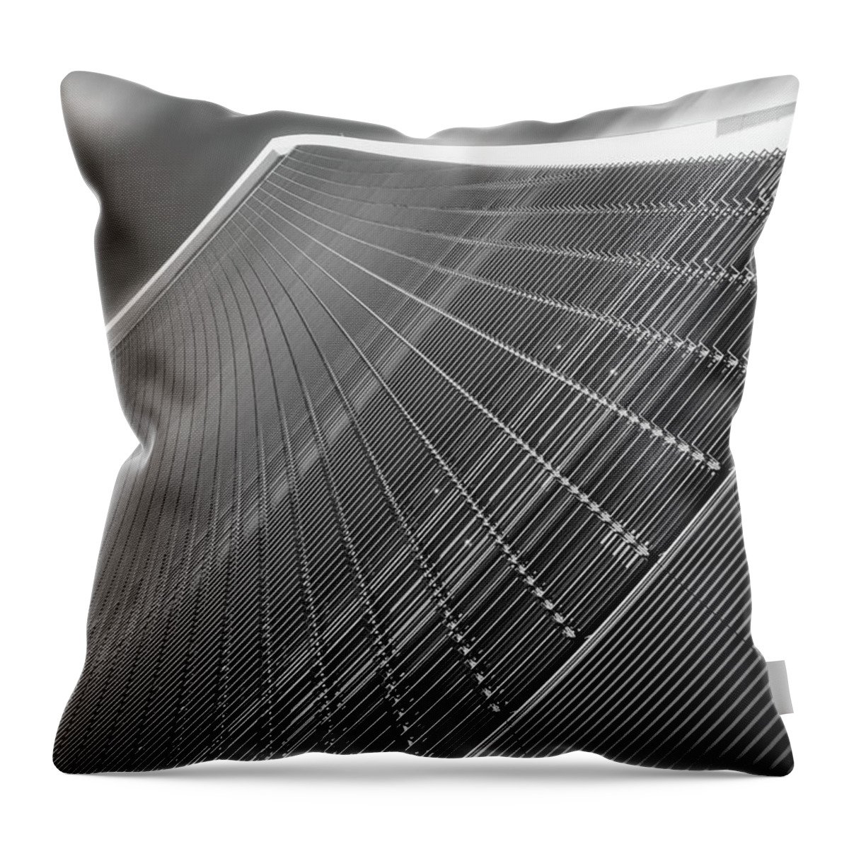 Architecture Throw Pillow featuring the photograph 29 Fenchurch Street by Rick Deacon