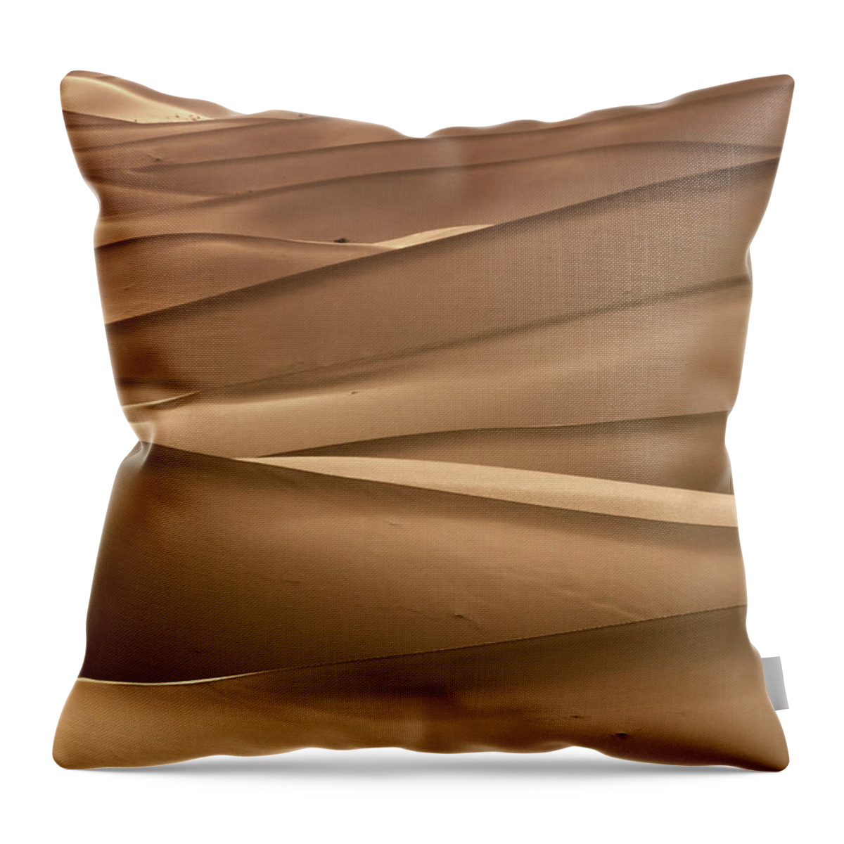 Desert Throw Pillow featuring the photograph Background with of sandy dunes in desert by Mikhail Kokhanchikov