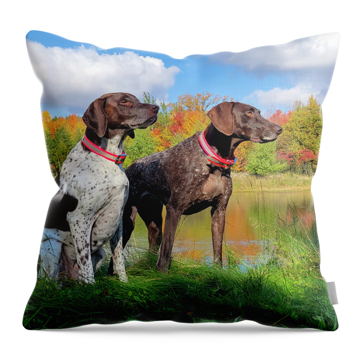 German Shorthaired Pointers Throw Pillow featuring the photograph German Shorthaired Pointers by Brook Burling