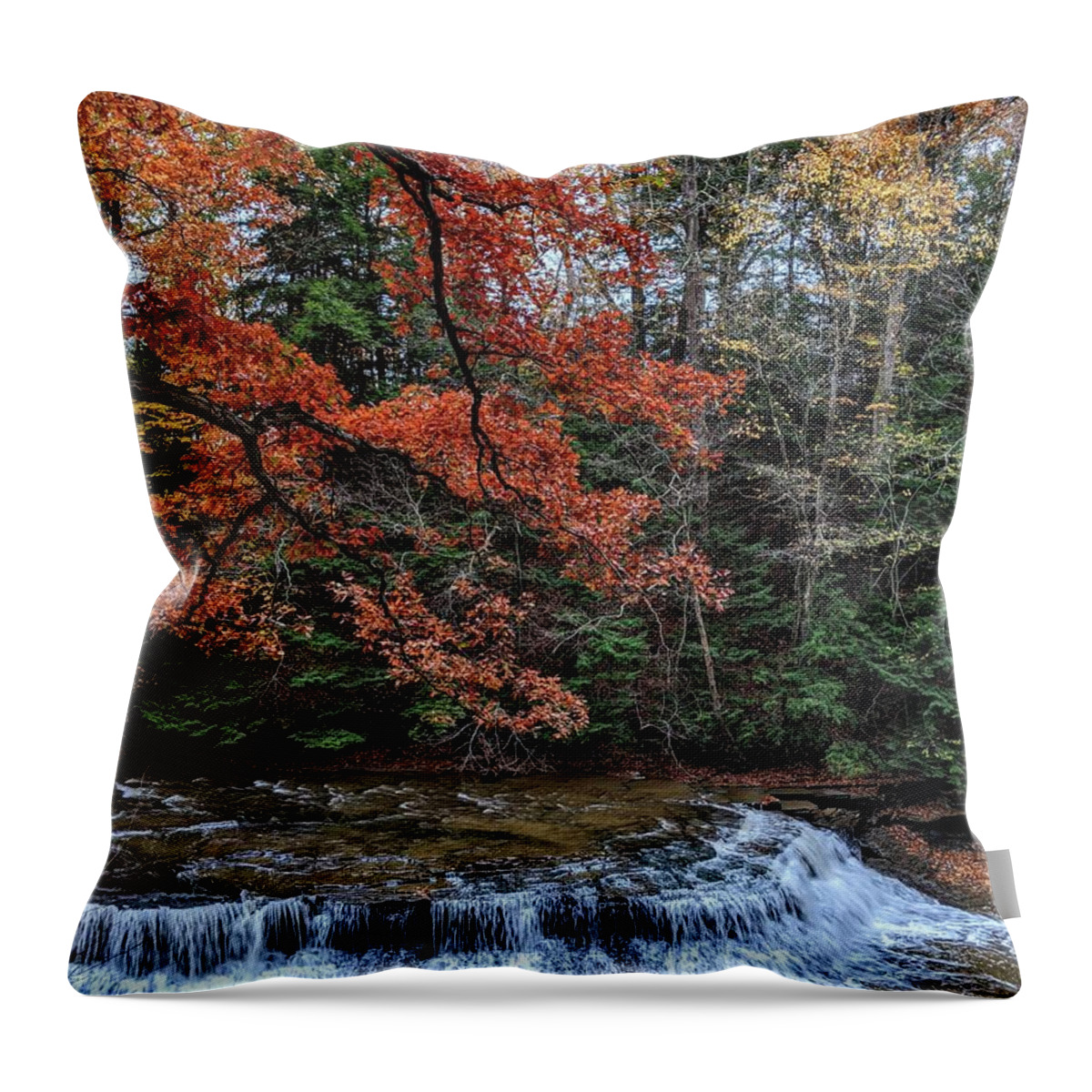 South Chagrin Reservation Throw Pillow featuring the photograph Quarry Rock Falls in the Fall by Brad Nellis
