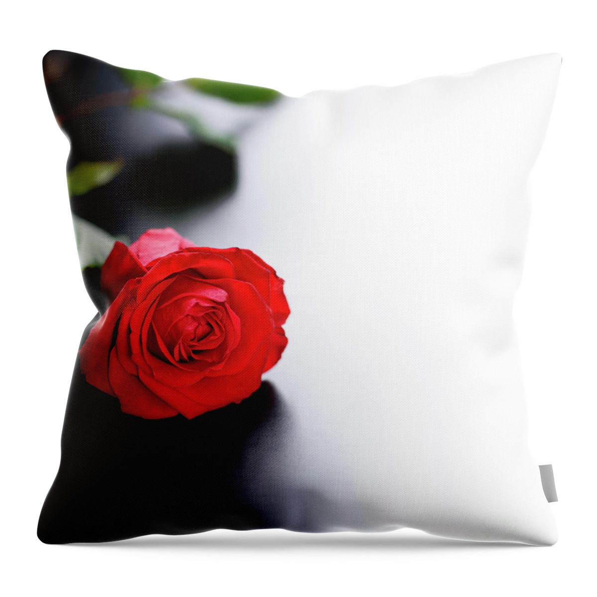 Roses Throw Pillow featuring the photograph Red Rose on black and white background by Jelena Jovanovic