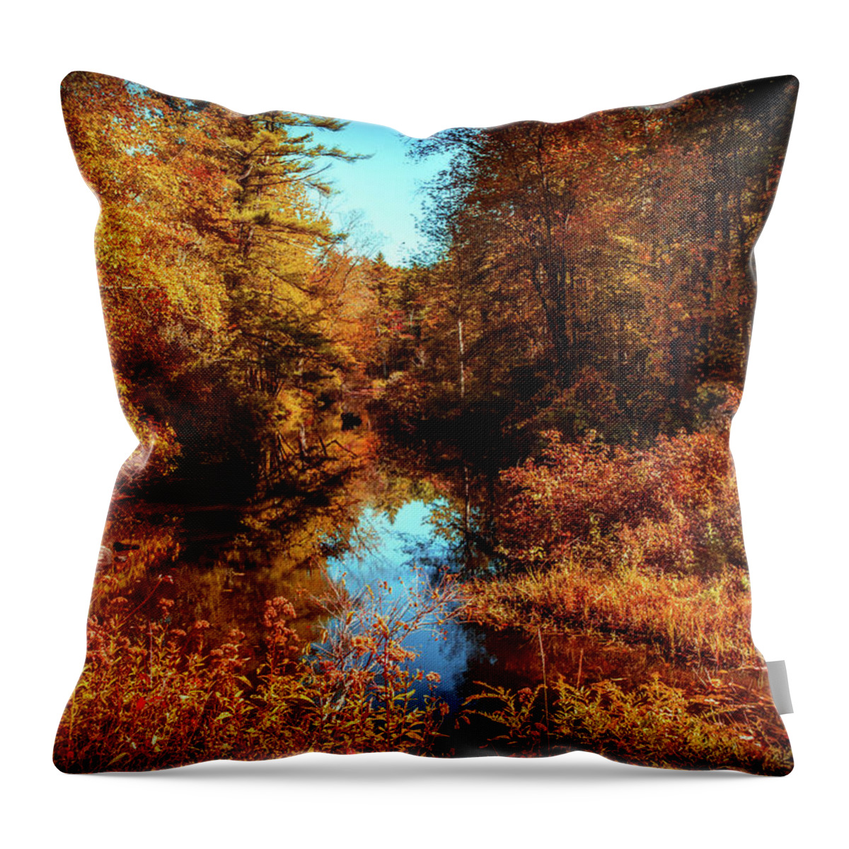 Fall Landscape Throw Pillow featuring the photograph Golden autumn a by Lilia D