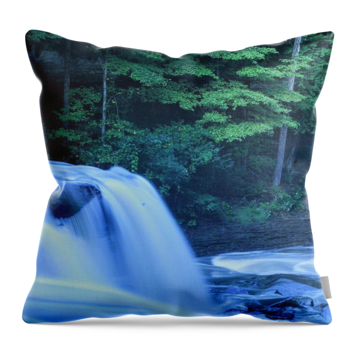  Throw Pillow featuring the photograph Great Falls by Brad Nellis