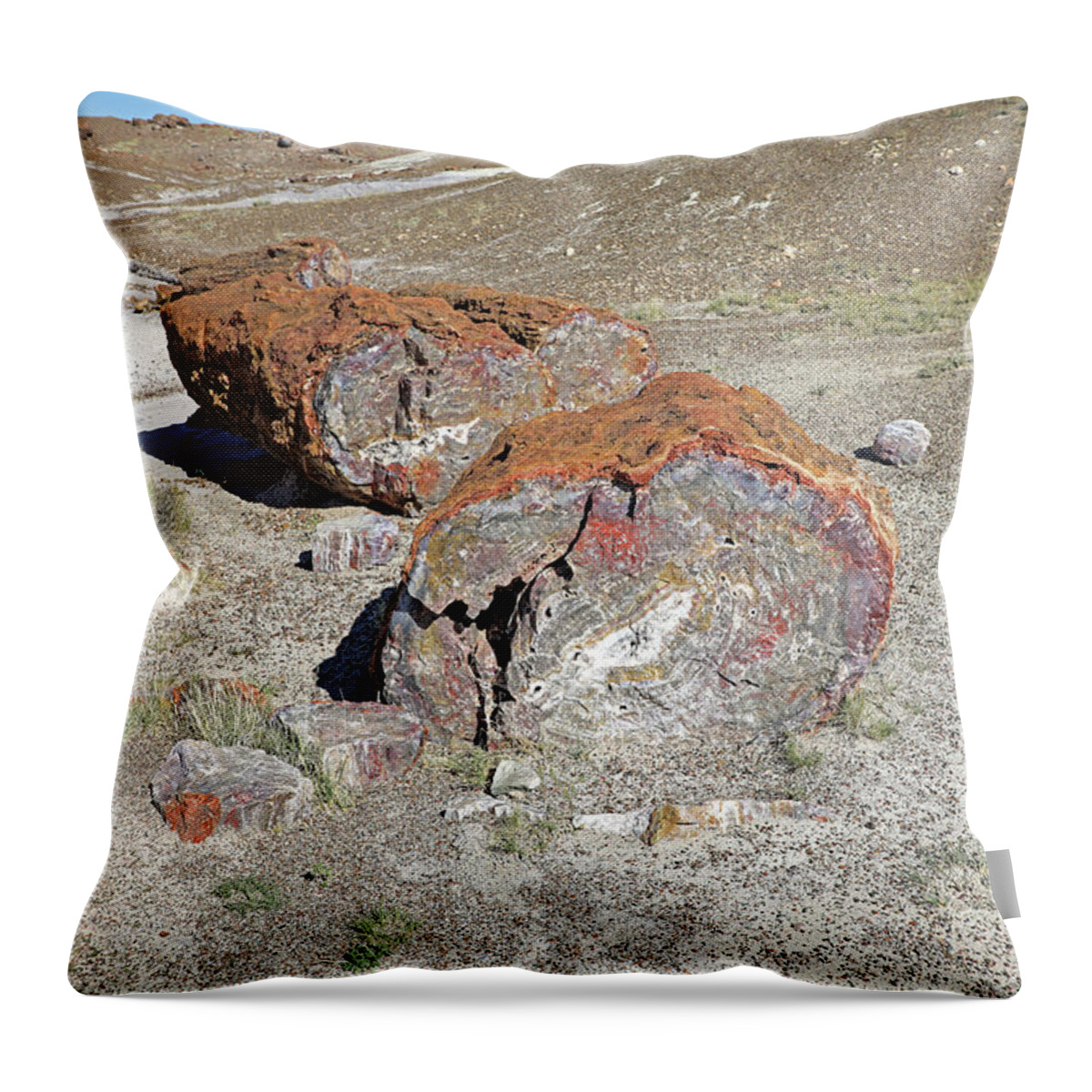 Petrified Forest National Park Throw Pillow featuring the photograph Petrified Logs - Petrified Forest National Park by Richard Krebs