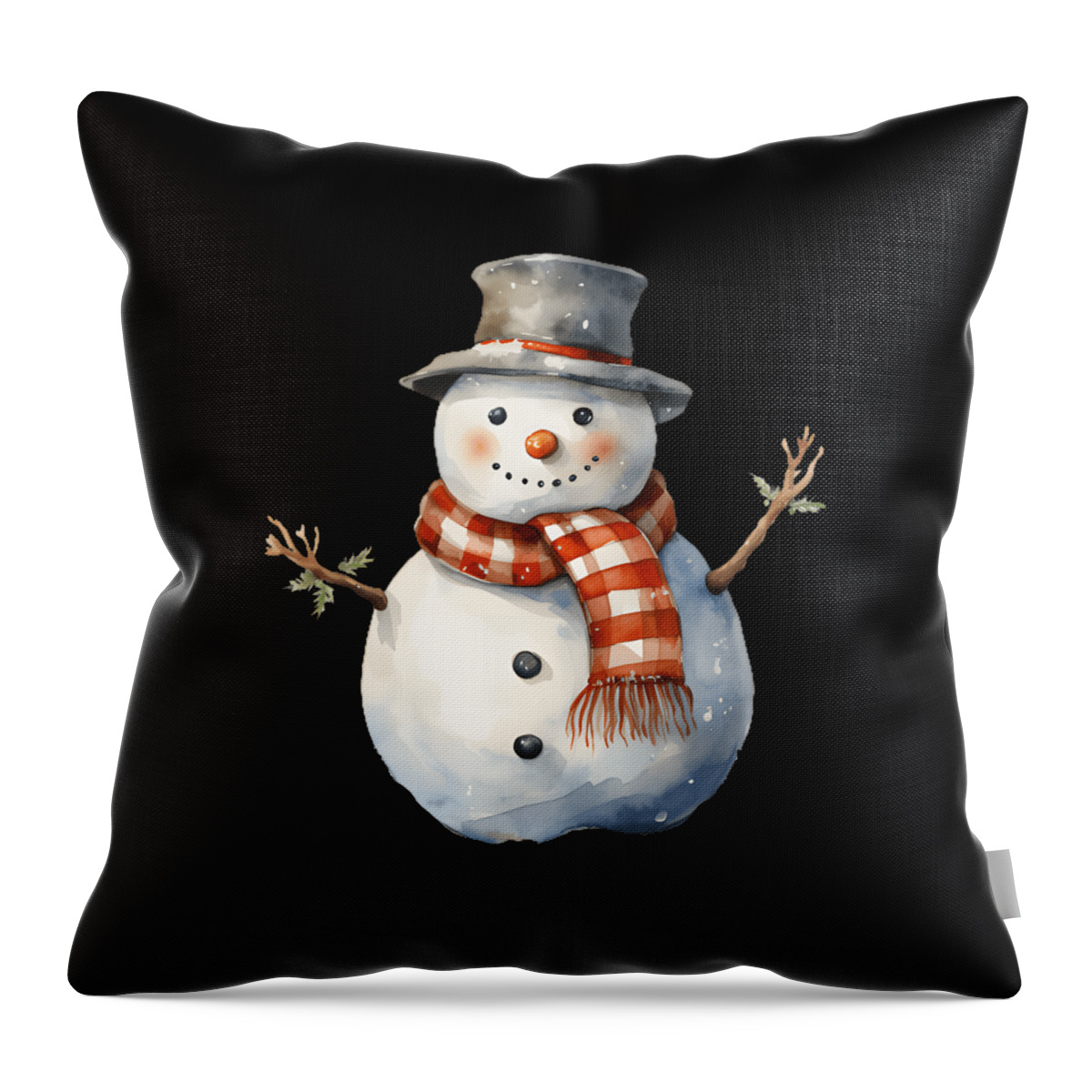 https://render.fineartamerica.com/images/rendered/default/throw-pillow/images/artworkimages/medium/3/4-snowman-with-carrot-nose-scarf-winter-christmas-heidi-joyce-transparent.png?&targetx=84&targety=53&imagewidth=311&imageheight=373&modelwidth=479&modelheight=479&backgroundcolor=000000&orientation=0&producttype=throwpillow-14-14