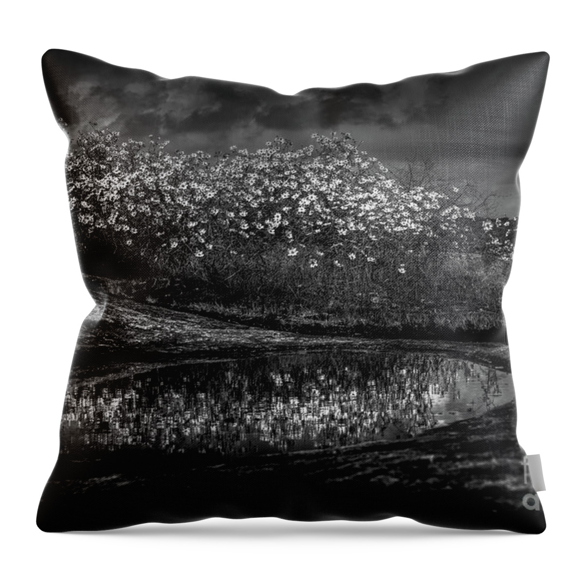 Black And White Throw Pillow featuring the photograph Untitled 4 by Doug Sturgess