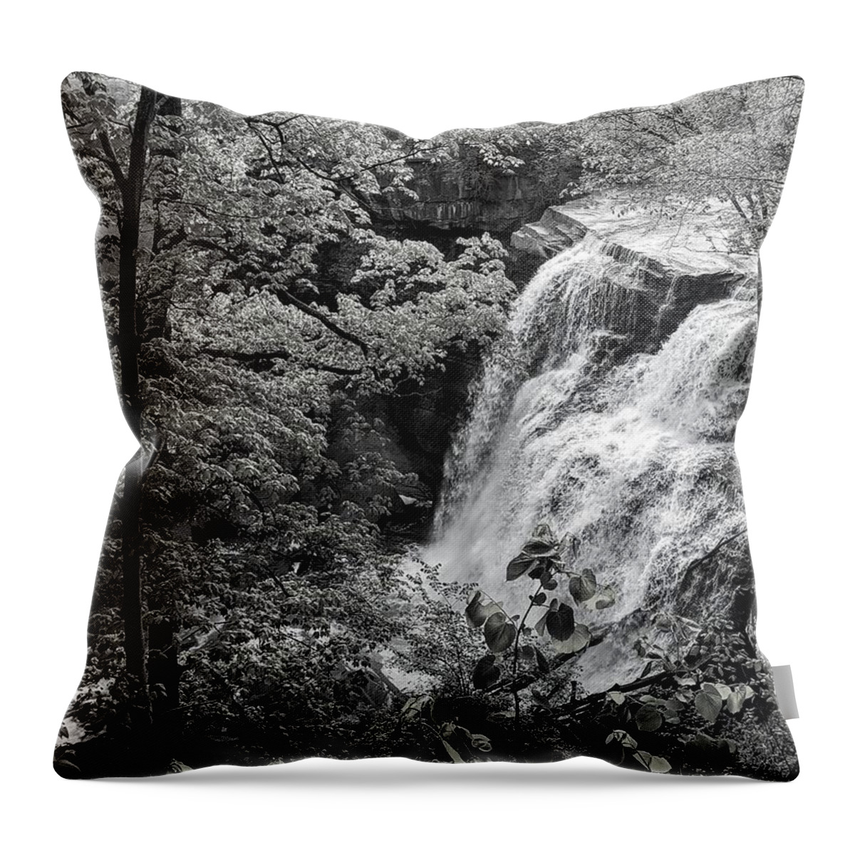  Throw Pillow featuring the photograph Brandywine Falls by Brad Nellis