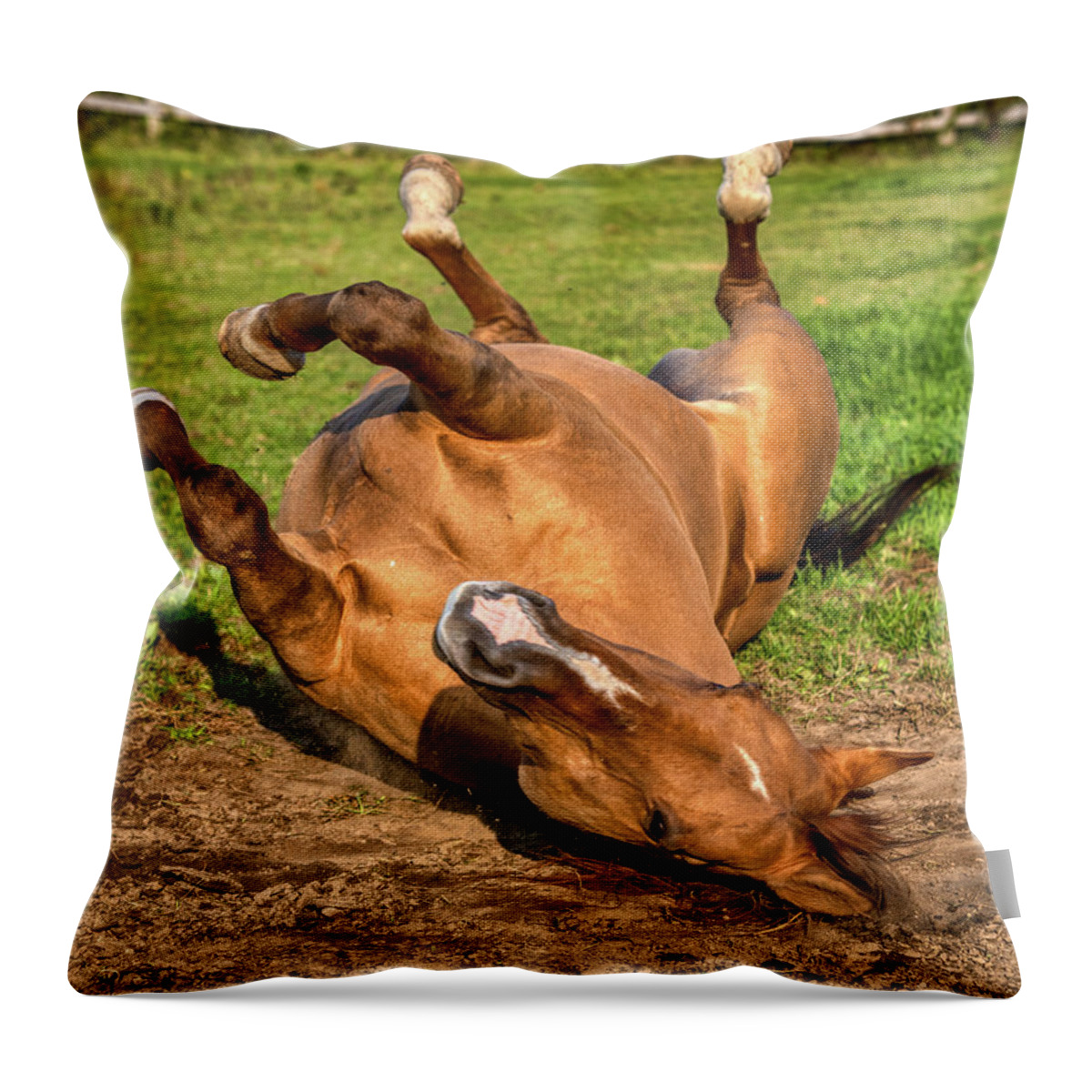 Airey Throw Pillow featuring the photograph Autumn Horses of Uxbridge by Dee Potter