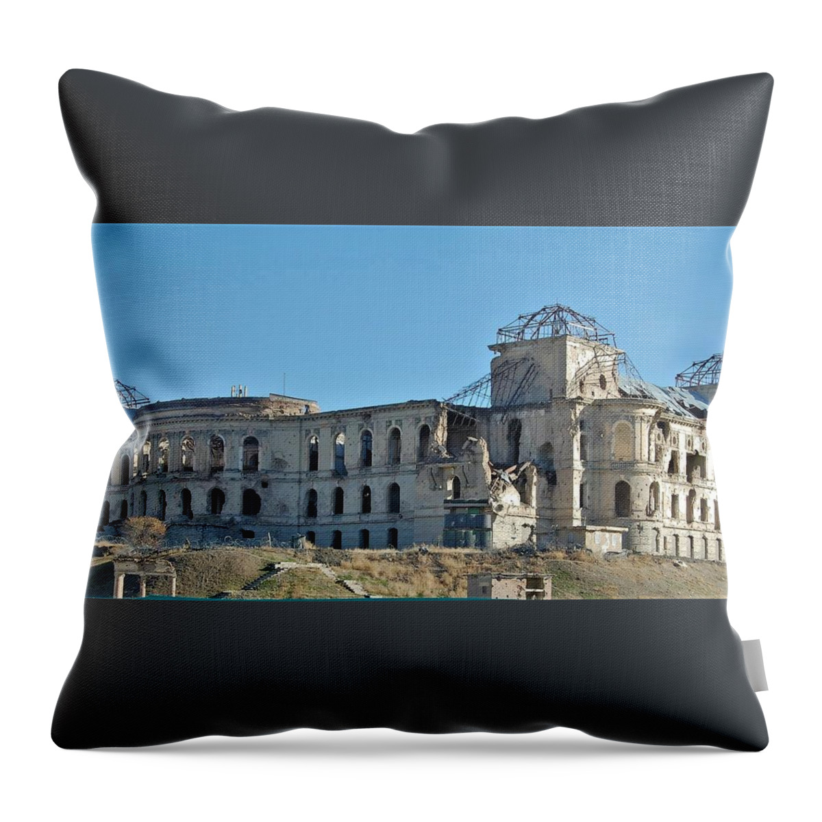  Throw Pillow featuring the photograph #7 by Jay Handler