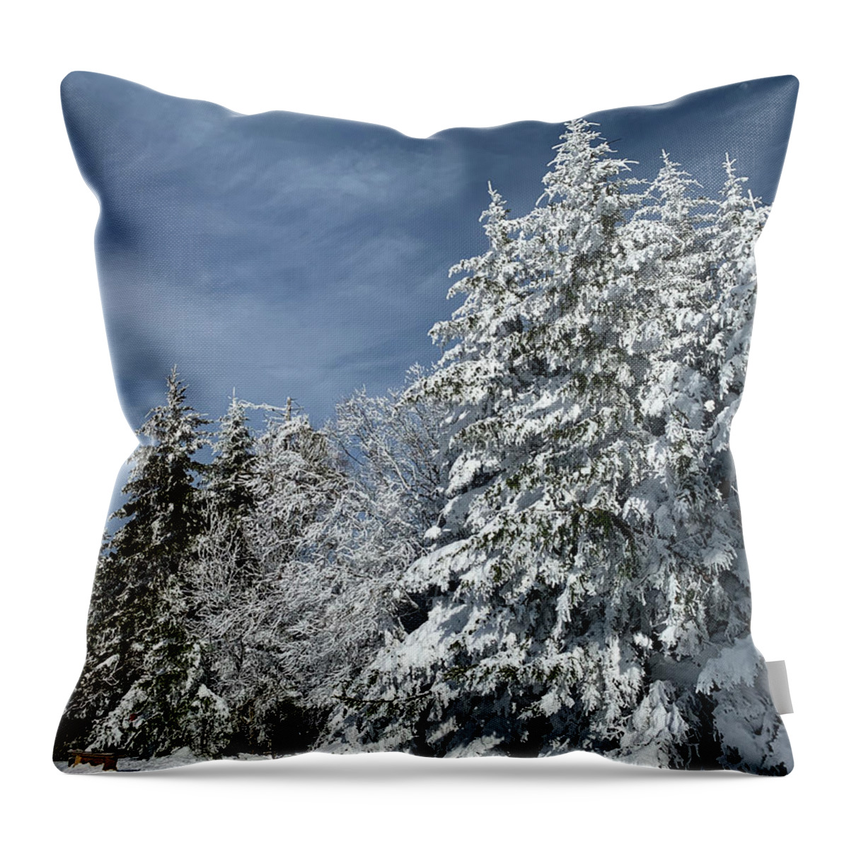  Throw Pillow featuring the photograph Winter Wonderland by Annamaria Frost