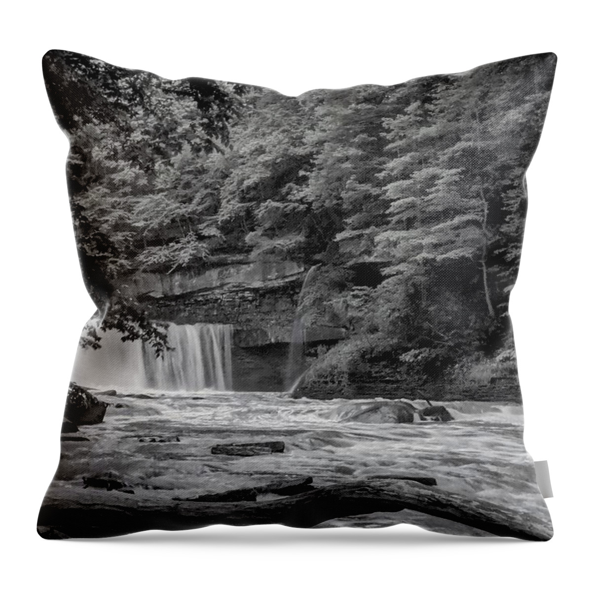  Throw Pillow featuring the photograph Great Falls by Brad Nellis