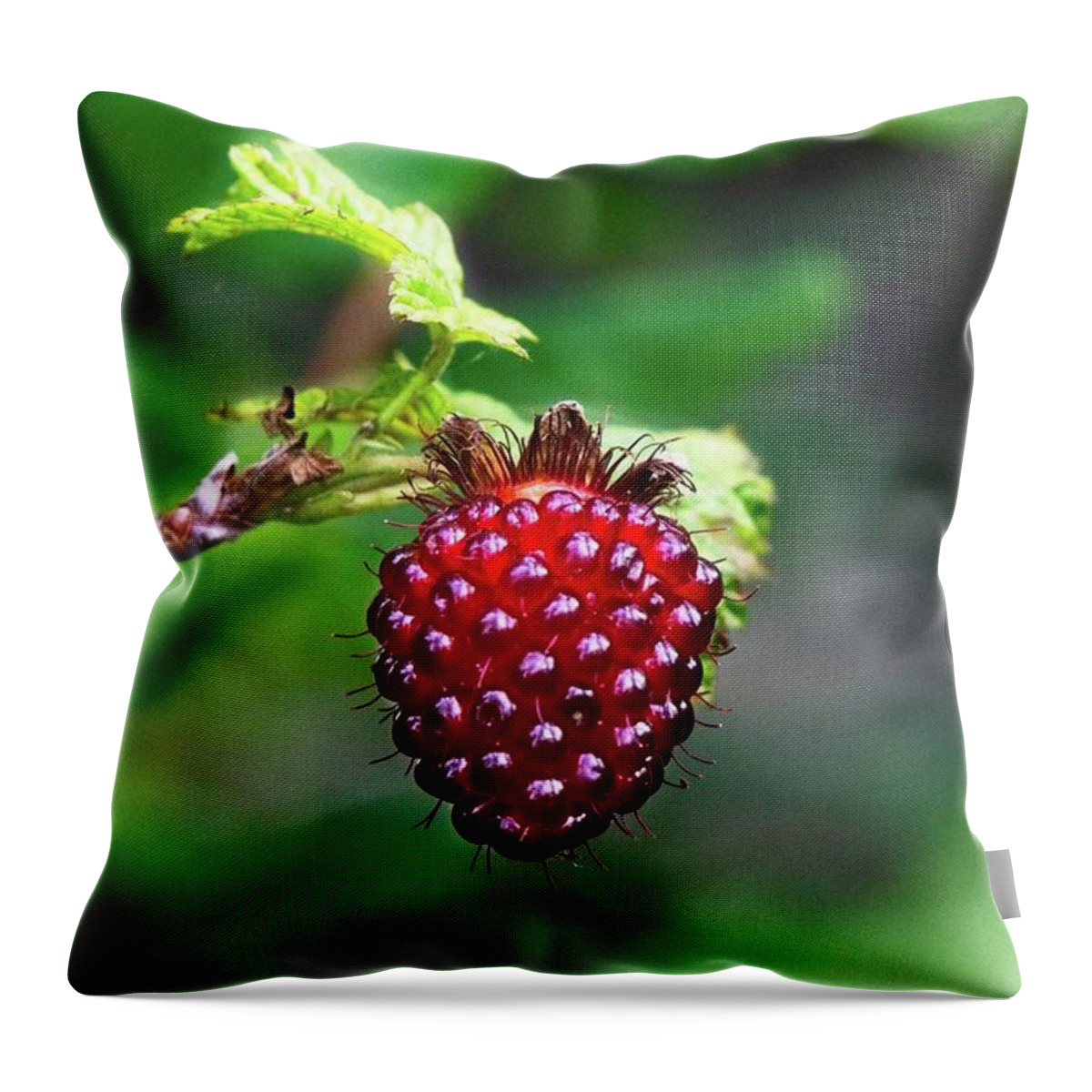 Alone Throw Pillow featuring the photograph A Berry Red Berry by David Desautel