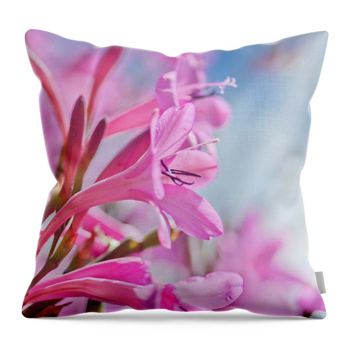 Tropical Dreams Throw Pillow featuring the photograph A Bright New Chapter Ahead by Az Jackson