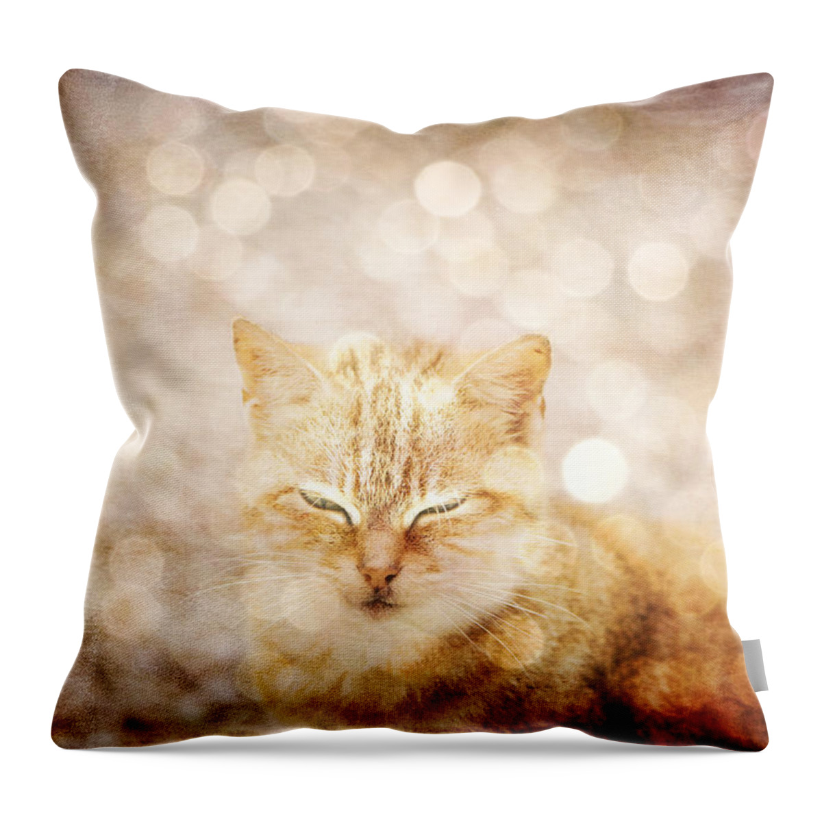 Cat Throw Pillow featuring the photograph A cat dream by Yasmina Baggili