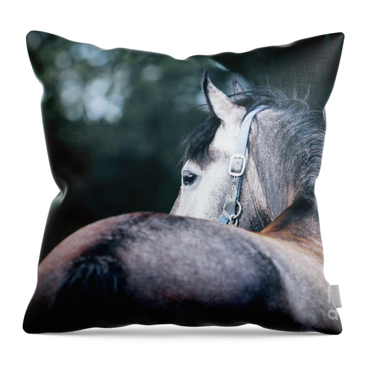 Horse Throw Pillow featuring the photograph A close-up portrait of horse profile in nature by Dimitar Hristov