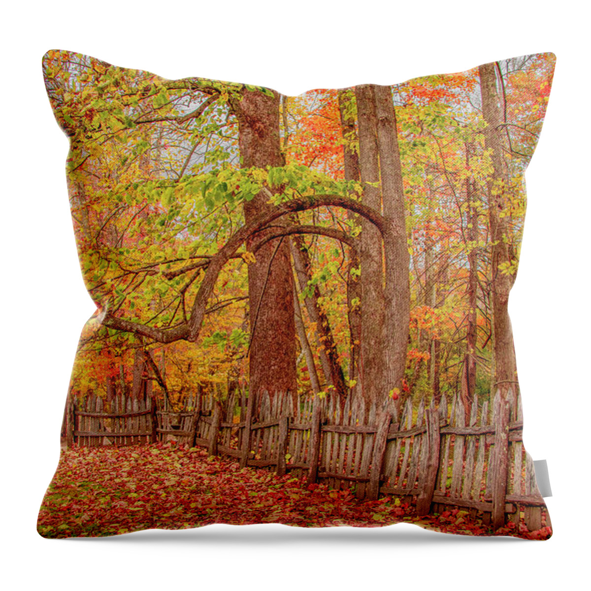 Oconaluftee Throw Pillow featuring the photograph A Crooked Old Fence in the Shadow of Fall by Marcy Wielfaert