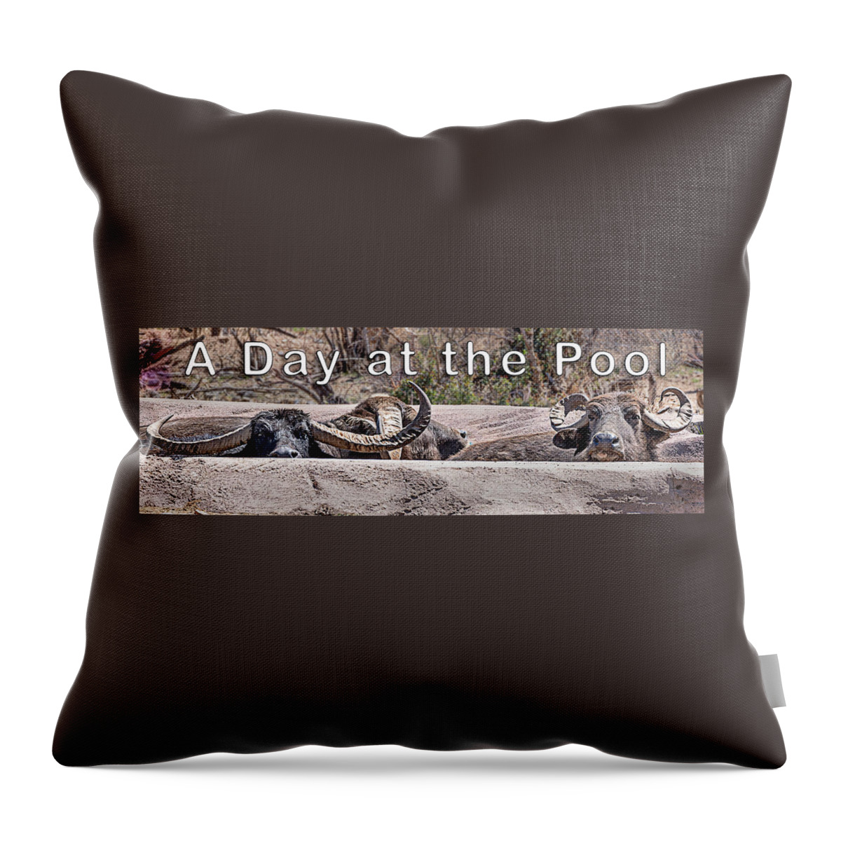  Throw Pillow featuring the photograph A Day at the Pool by Al Judge