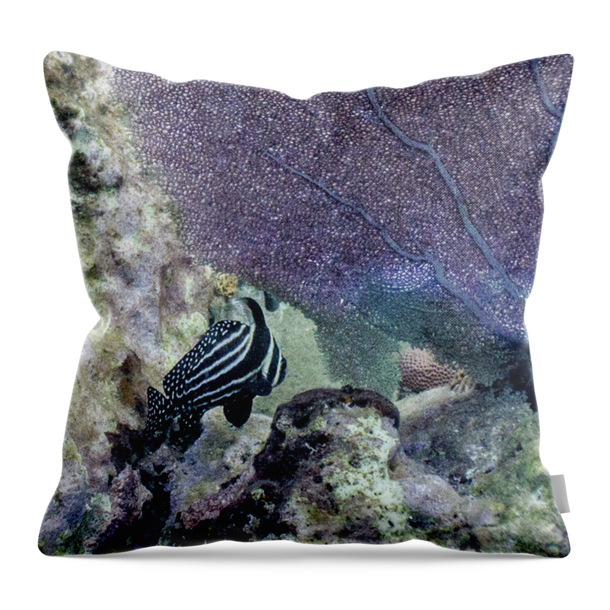Animals Throw Pillow featuring the photograph A Different Drum by Lynne Browne