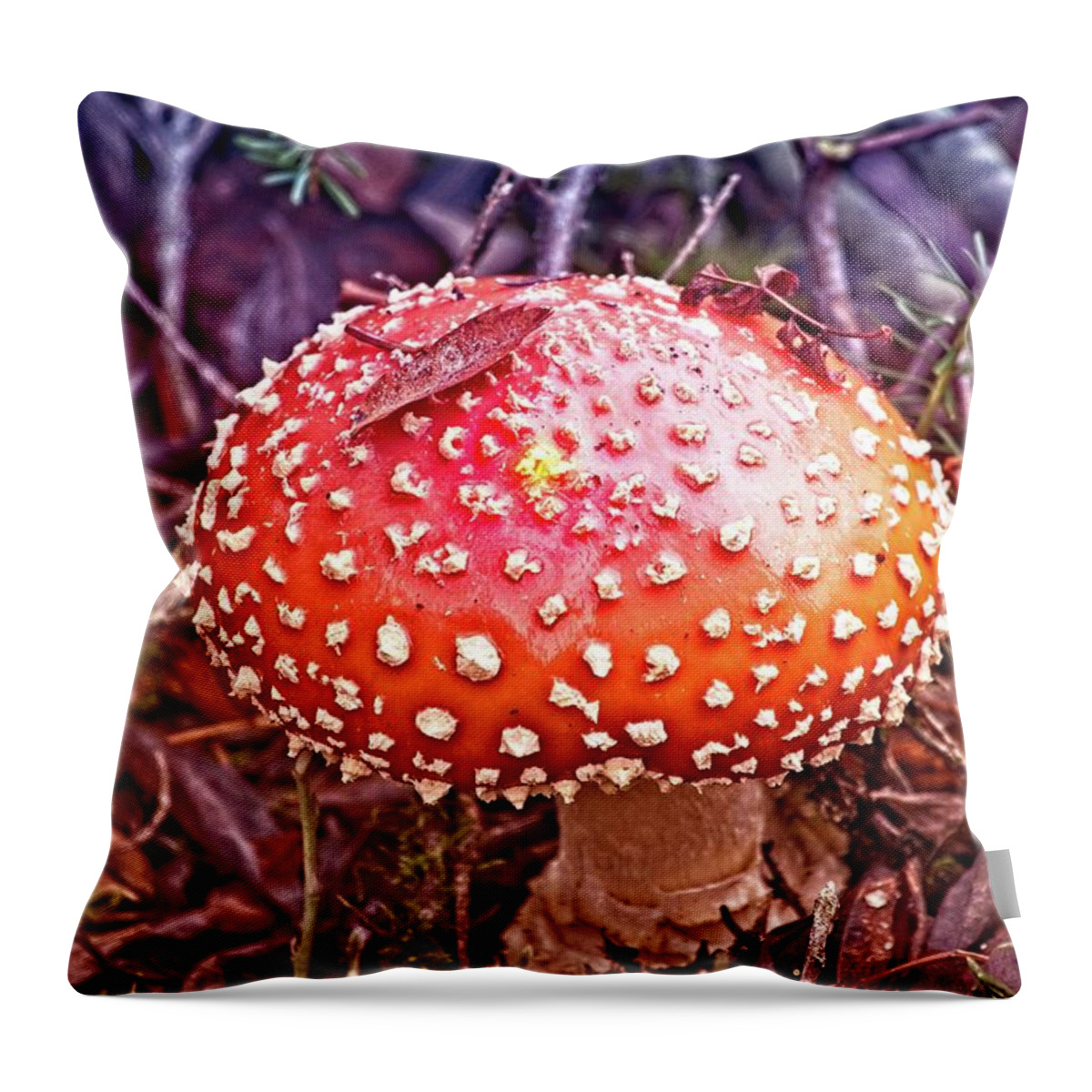 Amanita Muscaria Throw Pillow featuring the photograph A Fungus Among Us by David Desautel
