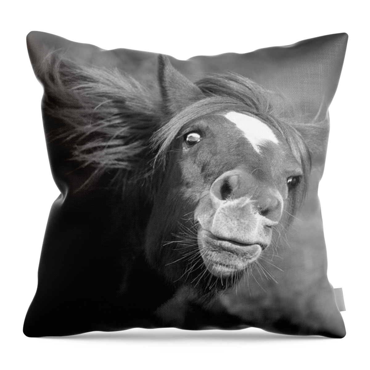 Stallion Throw Pillow featuring the photograph A Galloping Glance. by Paul Martin