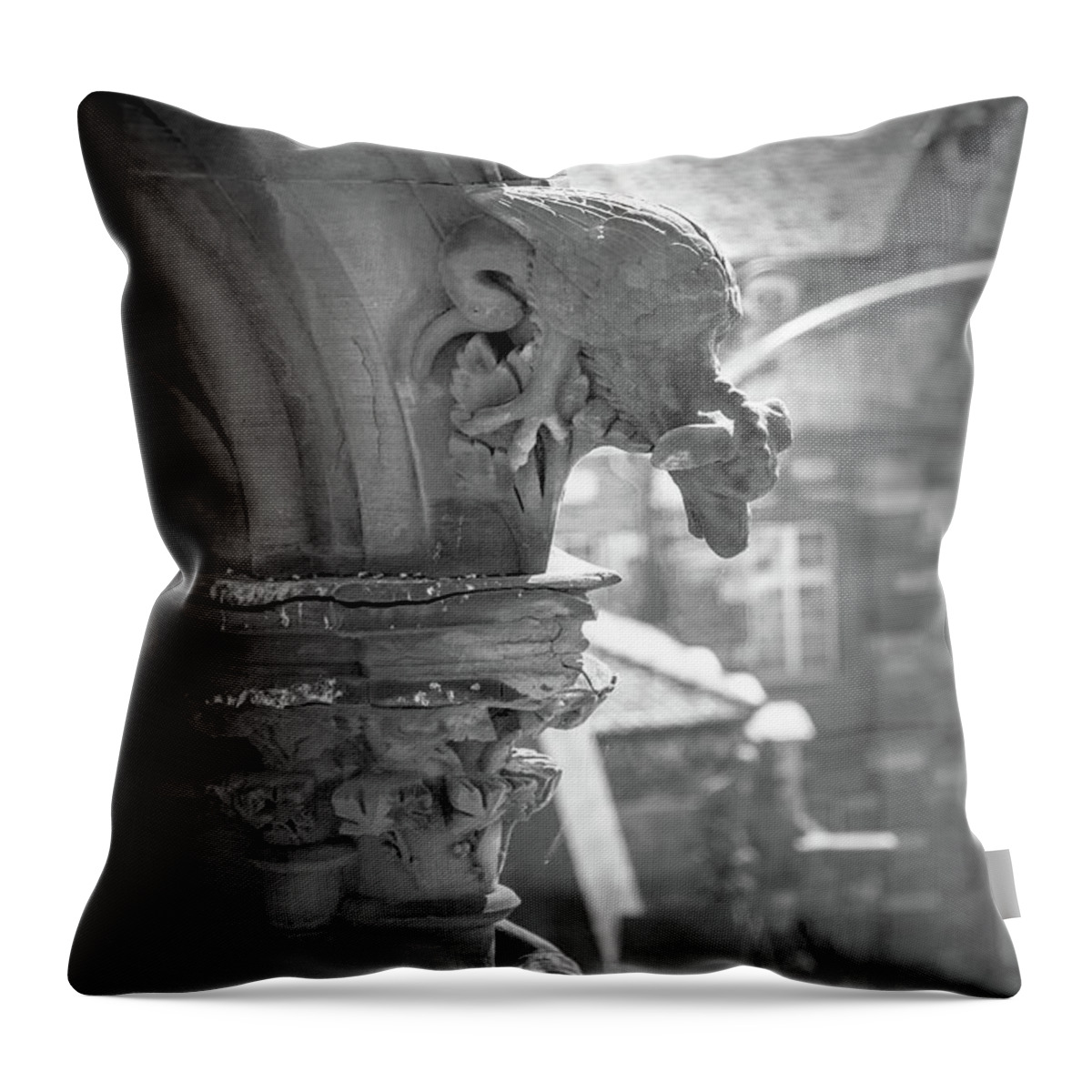 Architecture Throw Pillow featuring the photograph A Grotesque in Strasbourg - 1 by W Chris Fooshee