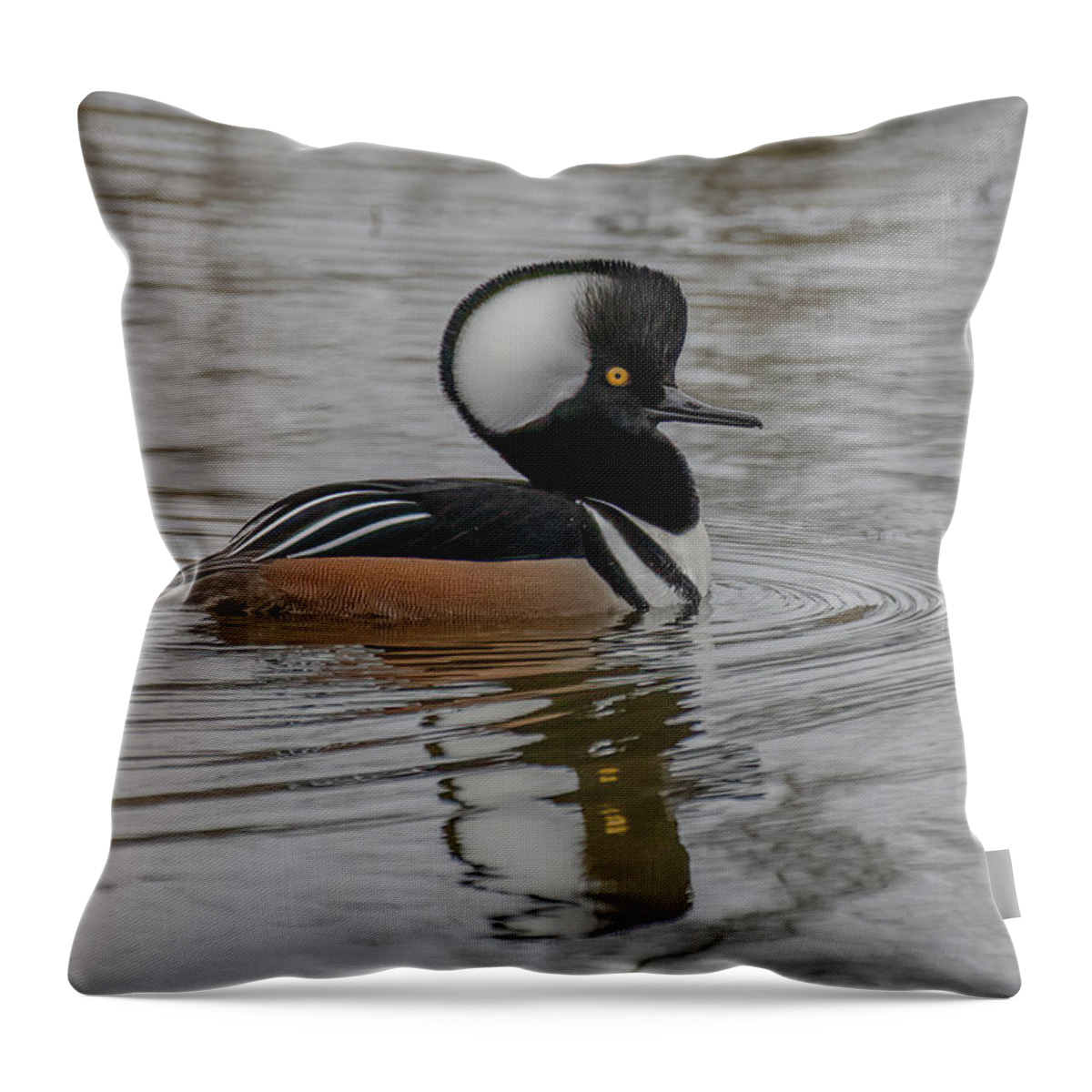 Hooded Merganser Throw Pillow featuring the photograph A Hoodie by Jerry Cahill